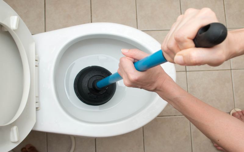 Notfall Toilette Verstopft Thurgau
